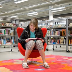 Heemskerk Public Library, Netherlands