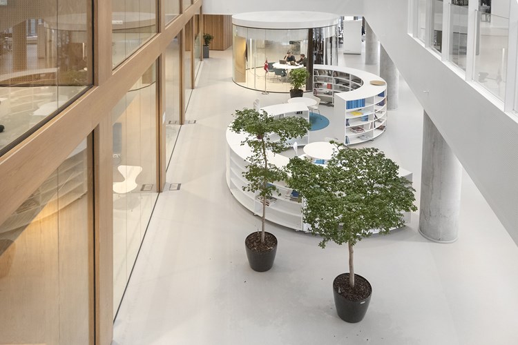 Company libraries