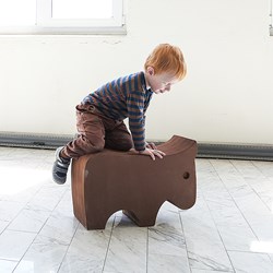 E2472 - Cow