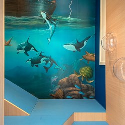 Floor and wall graphics