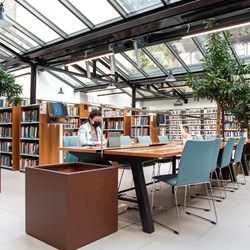 American University of Paris, France