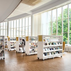 Biophilic design and environment