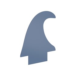 E2620 - Large wave